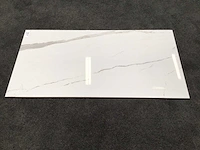Kutahya albatros gepolijst 60x120 cm tegel 103,68 m² - afbeelding 2 van  6