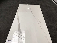 Kutahya albatros gepolijst 60x120 cm tegel 103,68 m² - afbeelding 4 van  6