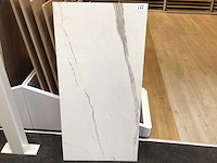 Kutahya albatros gepolijst 60x120 cm tegel 103,68 m² - afbeelding 1 van  6