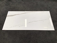 Kutahya albatros gepolijst 60x120 cm tegel 51,84 m² - afbeelding 2 van  6