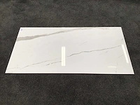 Kutahya albatros gepolijst 60x120 cm tegel 51,84 m² - afbeelding 6 van  6