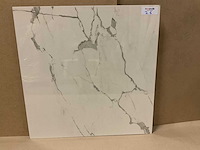 Kutahya albatros gepolijst 60x60 cm vloertegel 108 m² - afbeelding 1 van  1
