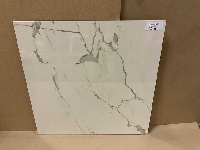 Kutahya albatros gepolijst 60x60 cm vloertegel 54 m² - afbeelding 1 van  3