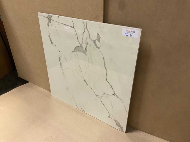 Kutahya albatros gepolijst 60x60 cm vloertegel 54 m² - afbeelding 2 van  3