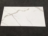 Kutahya albatros mat 60x120 vloertegel 51,84 m² - afbeelding 2 van  7