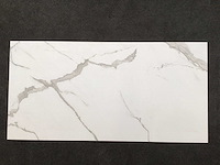 Kutahya albatros mat 60x120 vloertegel 51,84 m² - afbeelding 6 van  7