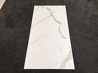 Kutahya albatros mat 60x120 vloertegel 51,84 m² - afbeelding 5 van  7