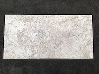Kutahya apollo mat vloertegel 60x120 cm 120,96 m² - afbeelding 3 van  4