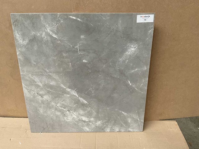 Kutahya elegant grijs gepolijst 60x60 cm tegel 108 m² - afbeelding 1 van  3