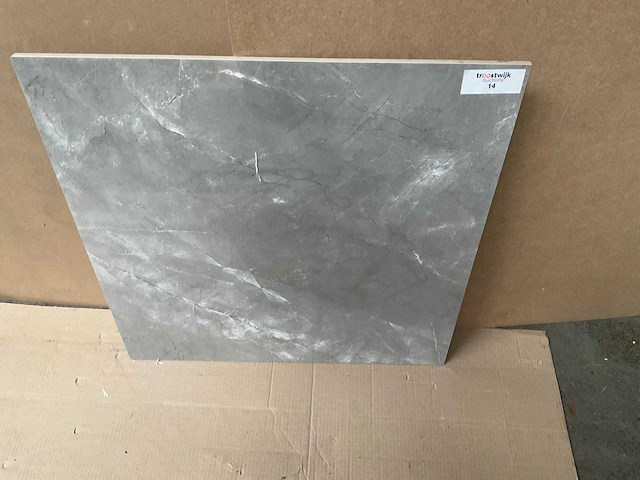 Kutahya elegant grijs gepolijst 60x60 cm tegel 108 m² - afbeelding 2 van  4