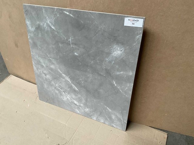 Kutahya elegant grijs gepolijst 60x60 cm tegel 54 m² - afbeelding 3 van  4