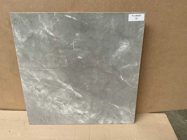 Kutahya elegant grijs gepolijst 60x60 cm tegel 54 m² - afbeelding 2 van  4