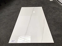 Kutahya statuario gepolijst 60x120 cm vloertegel 103,68 m² - afbeelding 5 van  6