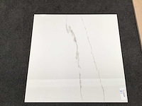 Kutahya statuario gepolijst 60x60 cm tegel 108 m² - afbeelding 2 van  2