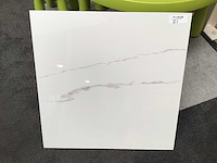 Kutahya statuario gepolijst 60x60 cm tegel 54 m² - afbeelding 1 van  4