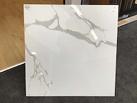 Kutahya statuario gepolijst vloertegel 120x120 cm 57,6 m²