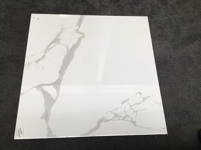 Kutahya statuario gepolijst vloertegel 120x120 cm 57,6 m² - afbeelding 8 van  8