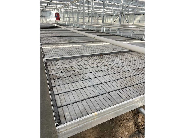 Kweektafel (10x) - afbeelding 7 van  7