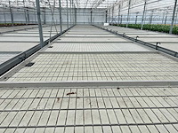 Kweektafel (20x) - afbeelding 1 van  8