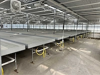 Kweektafel (24x) - afbeelding 10 van  13