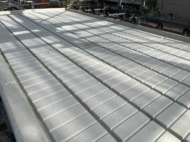 Kweektafel (5x) - afbeelding 5 van  10