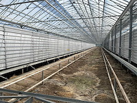 Kweektafel (5x) - afbeelding 9 van  10