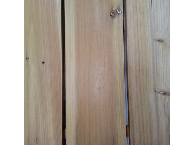 Kweektafel vegtrug, l - afbeelding 3 van  4