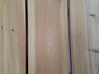 Kweektafel vegtrug, l - afbeelding 3 van  4