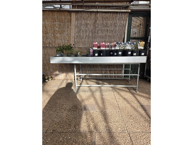 Kweektafel - afbeelding 1 van  4