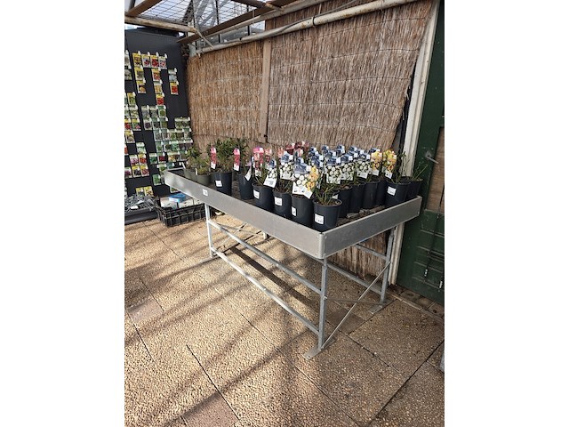 Kweektafel - afbeelding 2 van  4