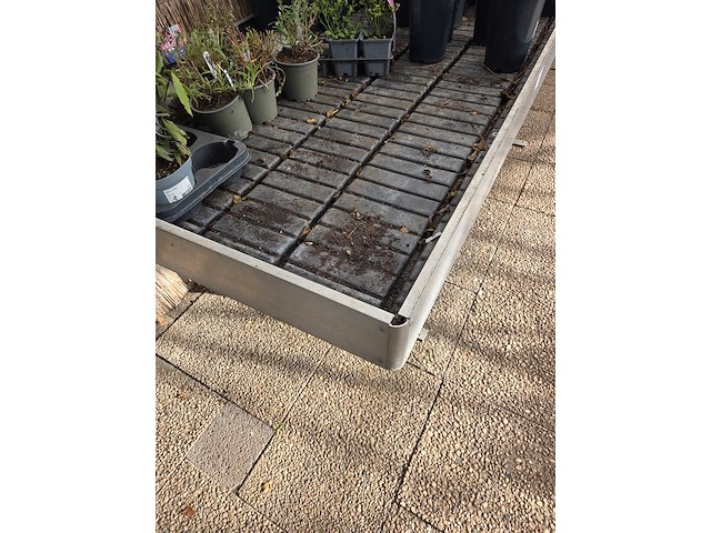 Kweektafel - afbeelding 3 van  4