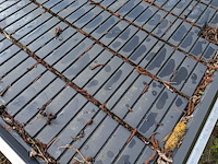 Kweektafel - afbeelding 5 van  6