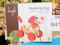 Kwispelhond joueco. - afbeelding 1 van  1