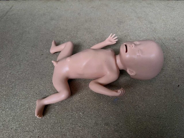 Kyoto kagaku - mw33 elbw - prematuur baby nood training simulatie pop - afbeelding 1 van  7