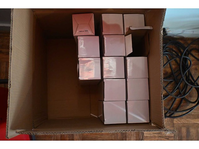 La cabunita thermofles (14x) - afbeelding 3 van  3