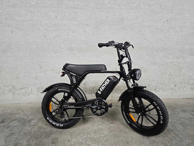 La souris - c80 - fatbike - elektrische fiets 4548 - afbeelding 2 van  8