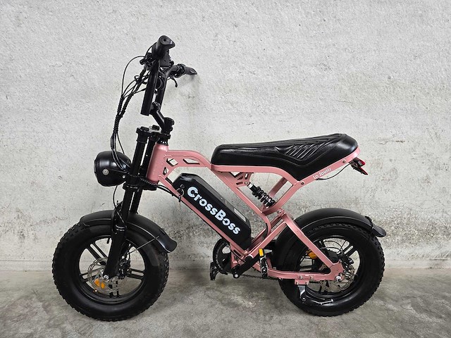La souris - fatbike - crossboss mini - elektrische fiets 8596 - afbeelding 1 van  10