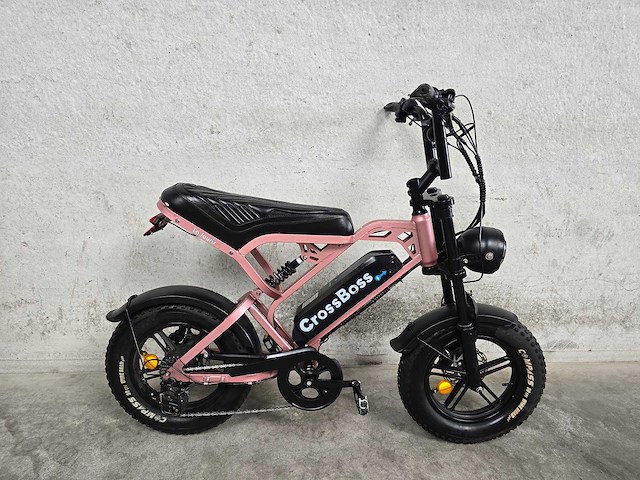 La souris - fatbike - crossboss mini - elektrische fiets 8596 - afbeelding 3 van  10
