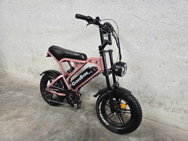 La souris - fatbike - crossboss mini - elektrische fiets 8596 - afbeelding 5 van  10