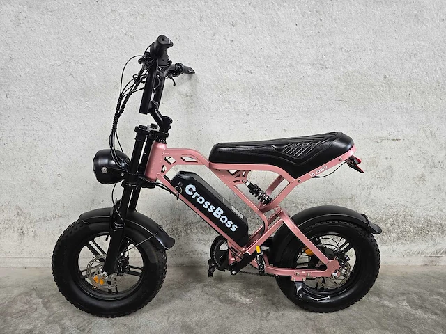 La souris - fatbike - crossboss mini - elektrische fiets 8596 - afbeelding 1 van  10