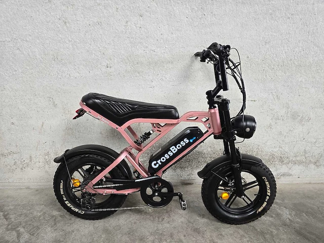 La souris - fatbike - crossboss mini - elektrische fiets 8596 - afbeelding 3 van  10