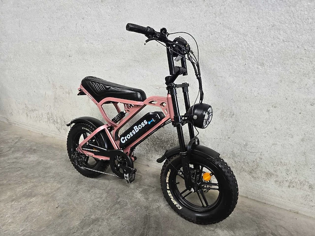 La souris - fatbike - crossboss mini - elektrische fiets 8596 - afbeelding 5 van  10