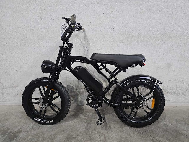 La souris - fatbike - elektrische fiets 0392 - afbeelding 1 van  10