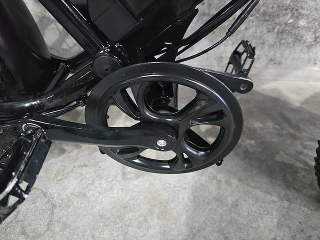 La souris - fatbike - elektrische fiets 0392 - afbeelding 10 van  10