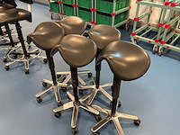 Laboratoriumzadelkruk (5x) - afbeelding 2 van  2