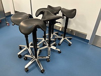 Laboratoriumzadelkruk (6x) - afbeelding 1 van  2