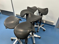 Laboratoriumzadelkruk (6x) - afbeelding 2 van  2