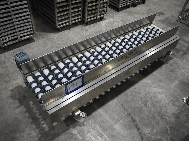 Lachnit - afbeelding 1 van  7