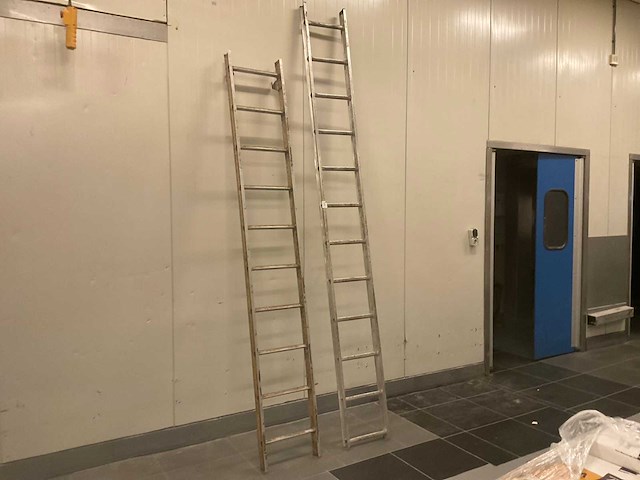 Ladder (2x) - afbeelding 1 van  5