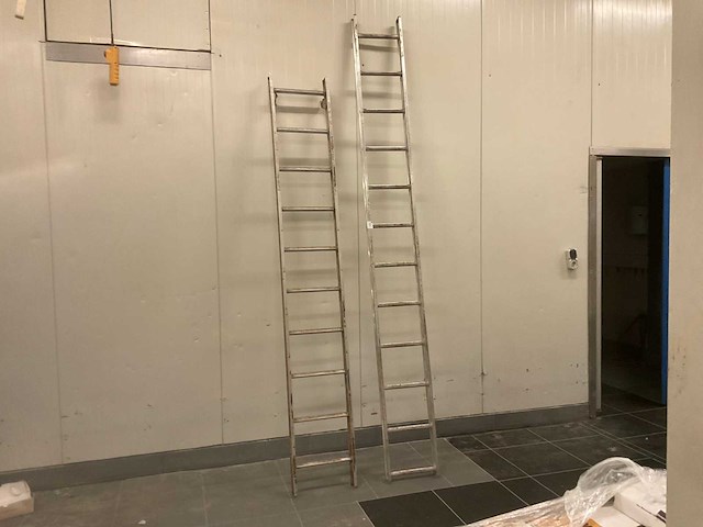 Ladder (2x) - afbeelding 2 van  5